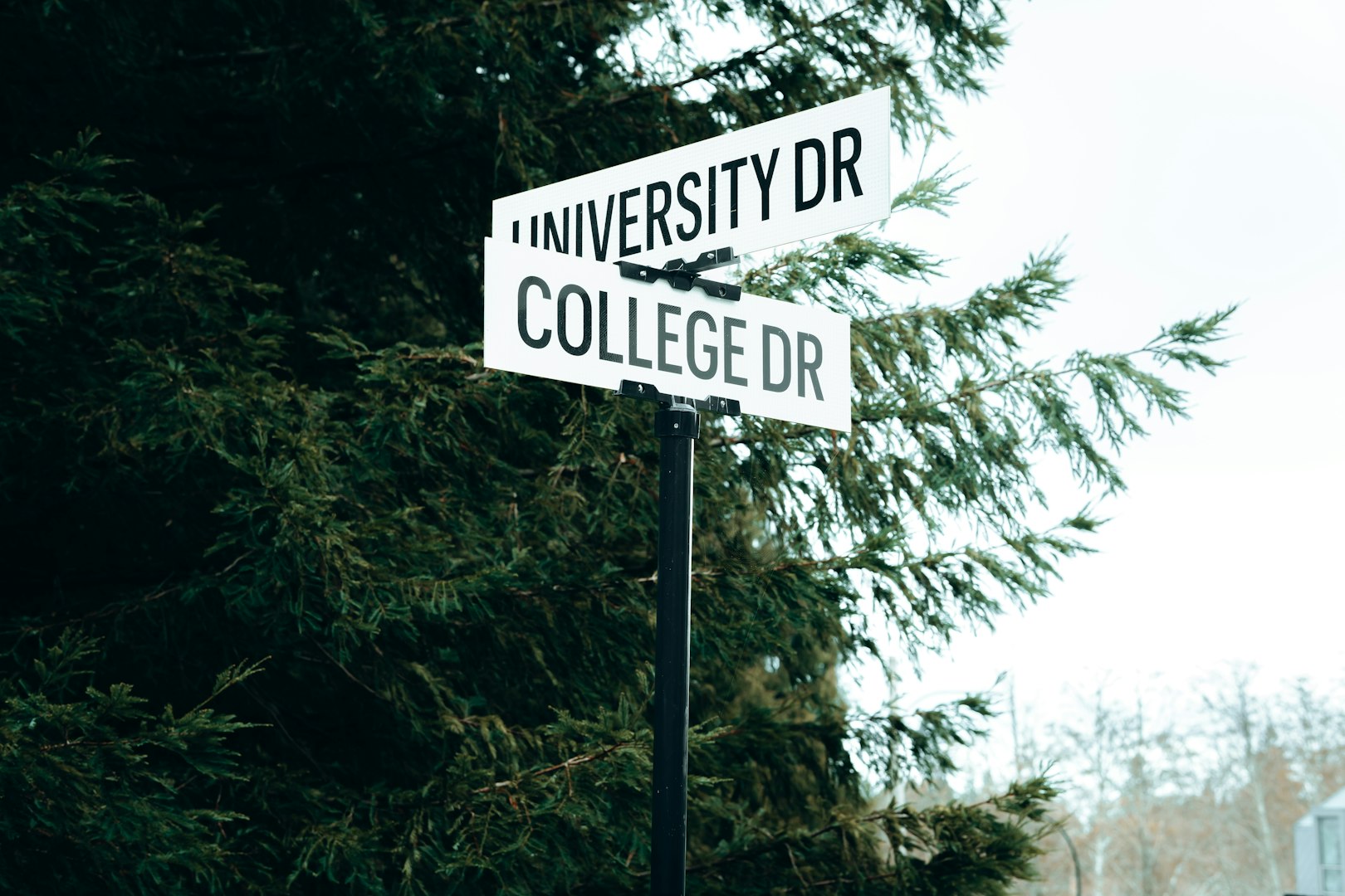 University and college pathway sign